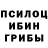 Галлюциногенные грибы мицелий Roxana Celada