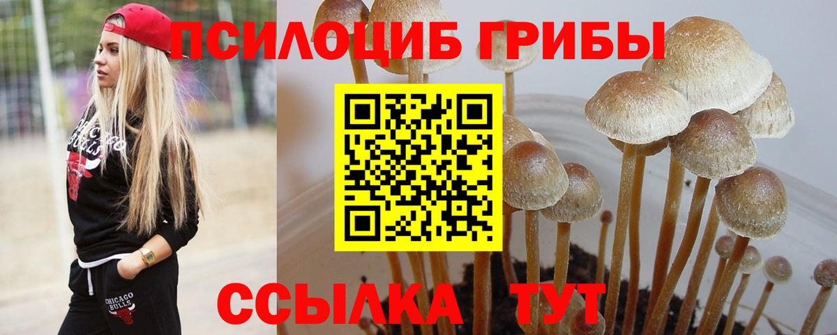 Псилоцибиновые грибы прущие грибы  Вход с VPN  Псилоцибиновые грибы Psilocybine cubensis  Лесосибирск 